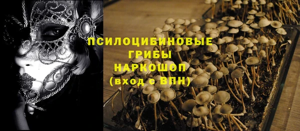 эйфоретик Армянск