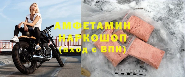 стаф Аркадак