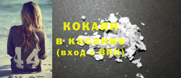 стаф Аркадак