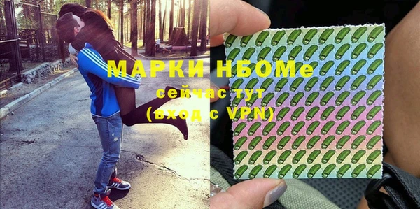 стаф Аркадак