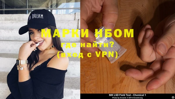стаф Аркадак