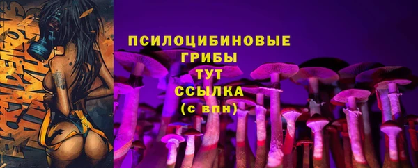 эйфоретик Армянск