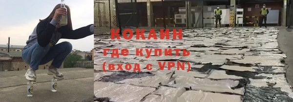 стаф Аркадак